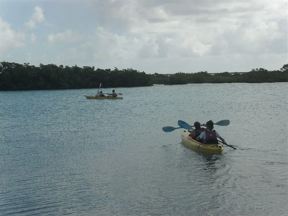 Pelican Beach Hotel Whitby 3*,  Turks And Caicos Islands