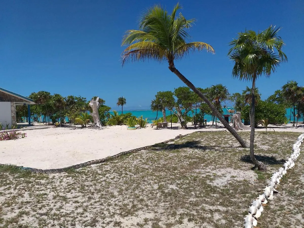 Pelican Beach Hotel contacts
