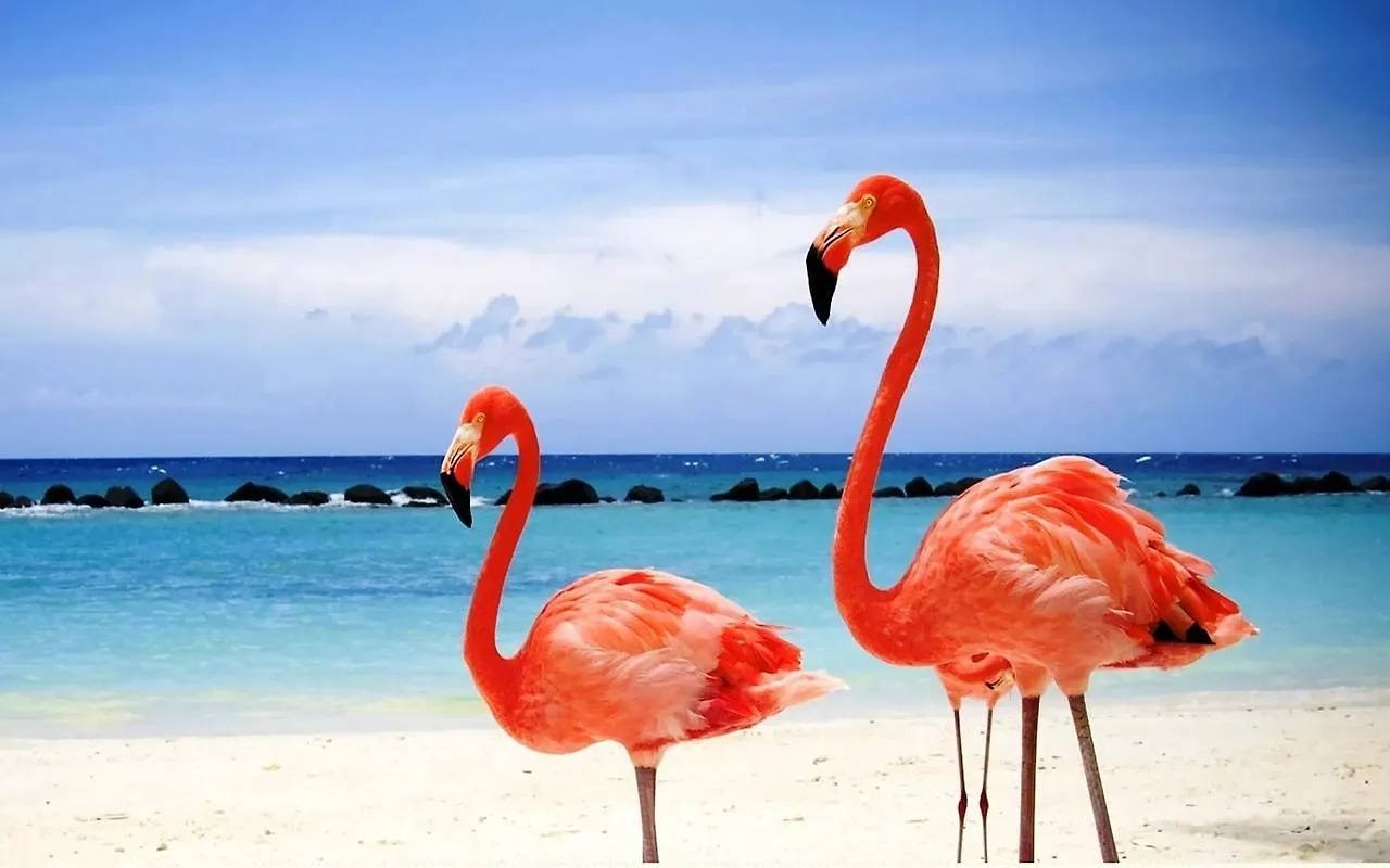 Pelican Beach Hotel Whitby 3*,  Turks And Caicos Islands
